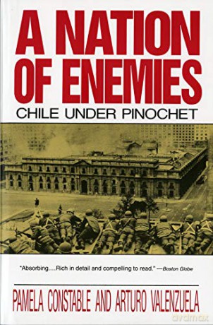 A Nation of Enemies: Chile Under Pinochet (Norton Paperback) - Pamela Constable [KSIĄŻKA]