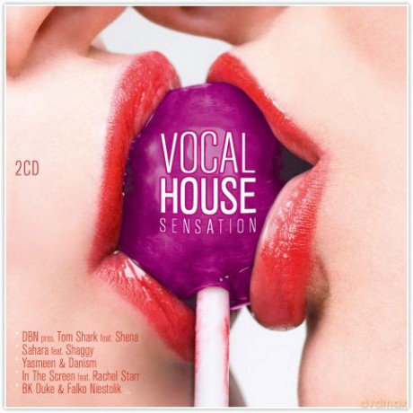 Vocal House Sensation [2CD]