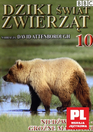 Dziki Świat Zwierząt 10: Niedźwiedzie - Groźne Maskotki (BBC) [DVD]