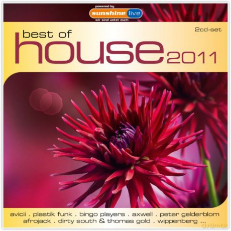 Best Of House 2011 [2CD]