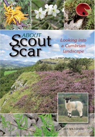 About Scout Scar: Looking into a Cumbrian Landscape - Jan Wiltshire [KSIĄŻKA]