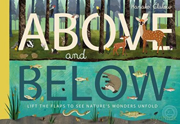 Above and Below - Patricia Hegarty [KSIĄŻKA]