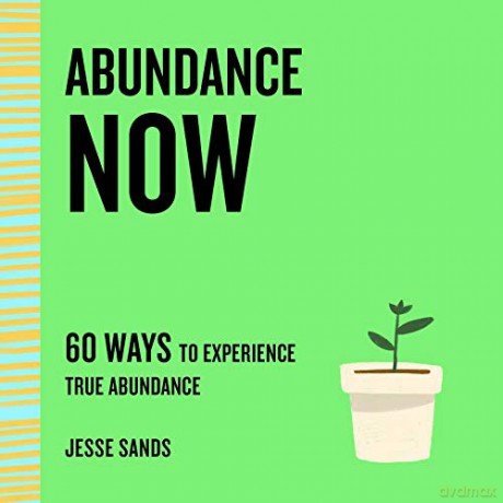 Abundance Now: 60 Ways to Experience True Abundance (The Now Series) - Jesse Sands [KSIĄŻKA]