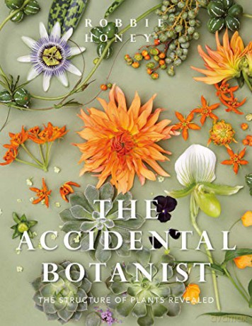 Accidental Botanist: The Structure of Plants Revealed - Robbie Honey [KSIĄŻKA]