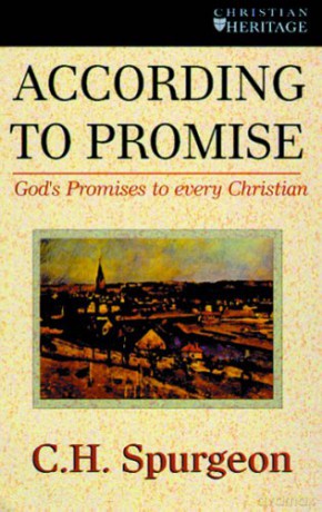 According to Promise: God's Promises to Every Christian (Spurgeon Collection) - C. H. Spurgeon [KSIĄŻKA]