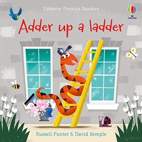 Adder up a Ladder (Phonics Readers): 1 - Russell Punter [KSIĄŻKA]