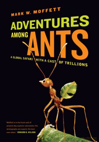 Adventures Among Ants: A Global Safari with a Cast of Trillions - Mark Moffett [KSIĄŻKA]