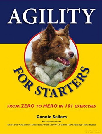Agility for Starters: From Zero to Hero in 101 Exercises - Connie Sellers [KSIĄŻKA]