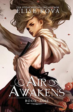 Air Awakens (Air Awakens Series Book 1): Volume 1 - Elise Kova [KSIĄŻKA]
