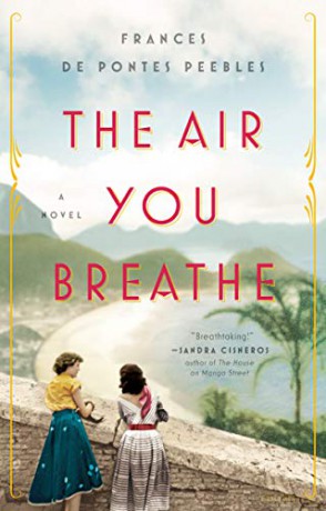 Air You Breathe, The: A Novel - Frances de Pontes Peebles [KSIĄŻKA]