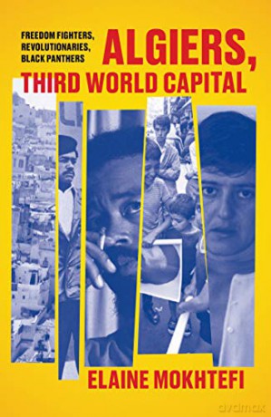 Algiers, Third World Capital: Freedom Fighters, Revolutionaries, Black Panthers - Elaine Mokhtefi [KSIĄŻKA]