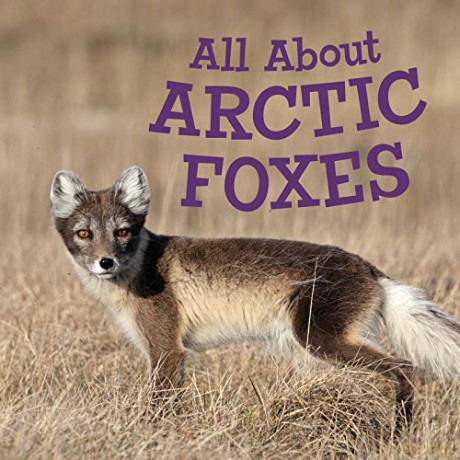 All About Arctic Foxes: English Edition (Nunavummi) - Jordan Hoffman [KSIĄŻKA]