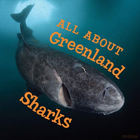 All About Greenland Sharks: English Edition (Nunavummi) - Jordan Hoffman [KSIĄŻKA]