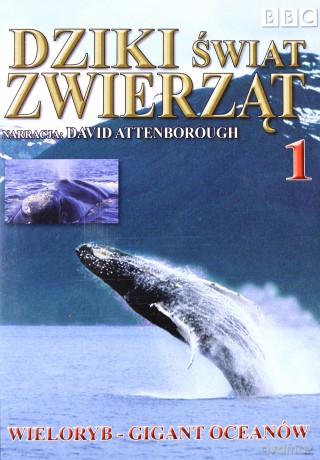 Dziki Świat Zwierząt 01: Wieloryb - Gigant Oceanów (BBC) [DVD]