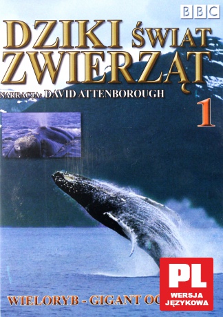 Dziki Świat Zwierząt 01: Wieloryb - Gigant Oceanów (BBC) [DVD]
