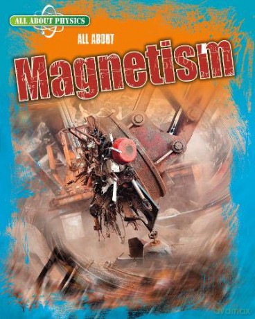 All About Physics: All About Magnetism - Leon Gray [KSIĄŻKA]