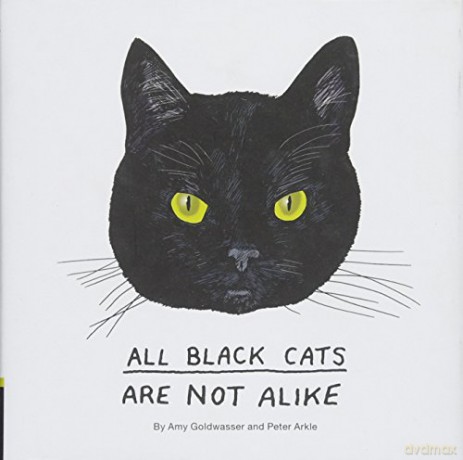 All Black Cats are Not Alike - Amy Goldwasser [KSIĄŻKA]