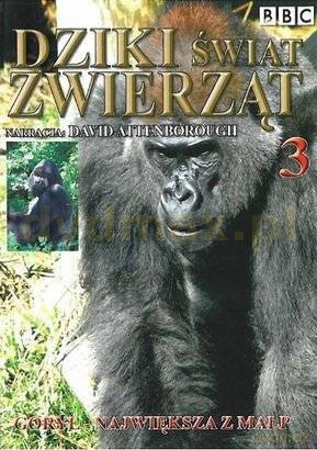 Dziki Świat Zwierząt 03: Goryl - Największa z Małp (BBC) [DVD]
