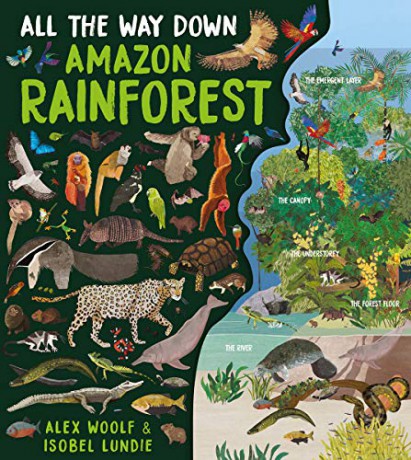 All The Way Down: Amazon Rainforest - Alex Woolf [KSIĄŻKA]