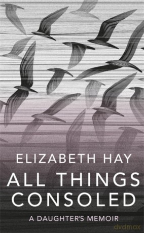 All Things Consoled - Elizabeth Hay [KSIĄŻKA]