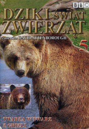 Dziki Świat Zwierząt 05: Twarzą w Twarz z Grizli (BBC) [DVD]