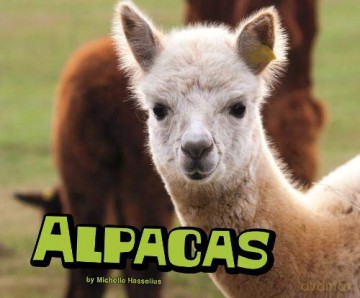Alpacas (Pebble Plus: Farm Animals) - Michelle Hasselius [KSIĄŻKA]