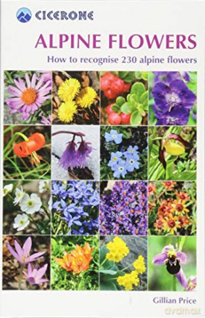 Alpine Flowers: How to recognise 230 alpine flowers - Gillian Price [KSIĄŻKA]