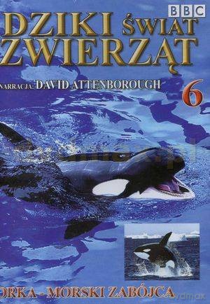 Dziki Świat Zwierząt 06: Orka - Morski Zabójca (BBC) [DVD]