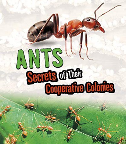 Amazing Animal Colonies: Ants: Secrets of Their Cooperative Colonies - Karen Latchana Kenney [KSIĄŻKA]