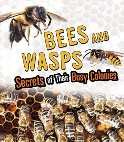 Amazing Animal Colonies: Bees and Wasps: Secrets of Their Busy Colonies - Sara L. Latta [KSIĄŻKA]