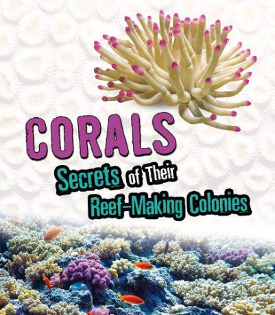 Amazing Animal Colonies: Corals: Secrets of Their Reef-Making Colonies - Rebecca Stefoff [KSIĄŻKA]