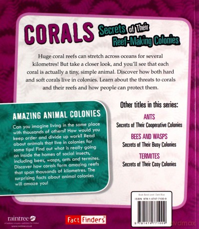 Amazing Animal Colonies: Corals: Secrets of Their Reef-Making Colonies - Rebecca Stefoff [KSIĄŻKA]