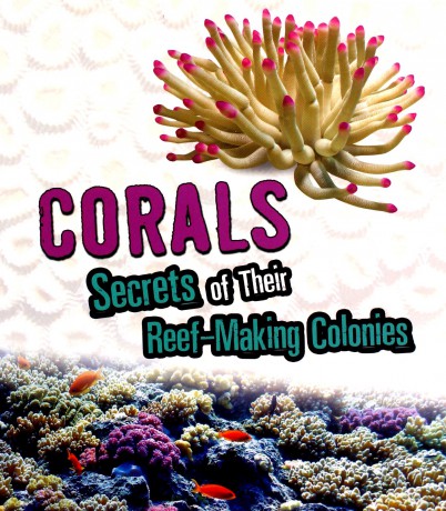 Amazing Animal Colonies: Corals: Secrets of Their Reef-Making Colonies - Rebecca Stefoff [KSIĄŻKA]