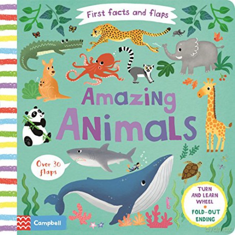 Amazing Animals (First Facts and Flaps) [KSIĄŻKA]