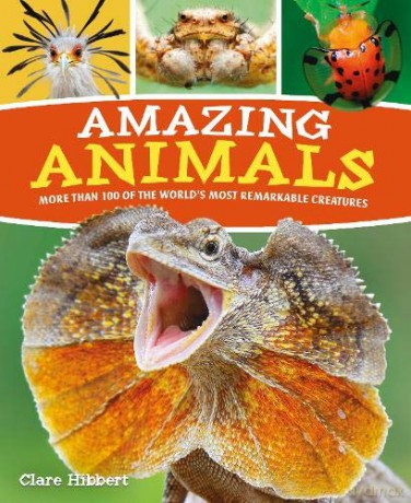 Amazing Animals: More than 100 of the World's Most Remarkable Creatures - Claire Hibbert [KSIĄŻKA]