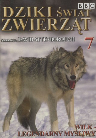 Dziki Świat Zwierząt 07: Wilk - Legendarny Myśliwy (BBC) [DVD]