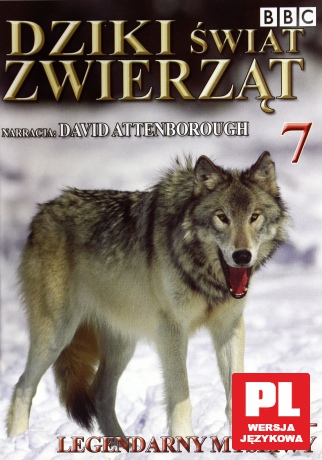 Dziki Świat Zwierząt 07: Wilk - Legendarny Myśliwy (BBC) [DVD]