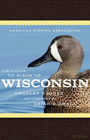 American Birding Association Field Guide to Birds of Wisconsin (American Birding Association State Field) - Charles Hagner [KSIĄŻKA]