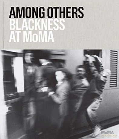 Among Others: Blackness at MoMA - Mabel O. Wilson [KSIĄŻKA]
