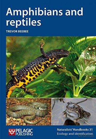 Amphibians and reptiles (Naturalists' Handbook): Vol. 31 (Naturalists' Handbooks) - Trevor J.C. Beebee [KSIĄŻKA]