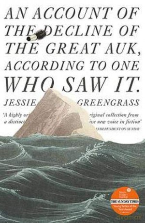 An Account of the Decline of the Great Auk, According to One Who Saw It: A John Murray Original - Jessie Greengrass [KSIĄŻKA]