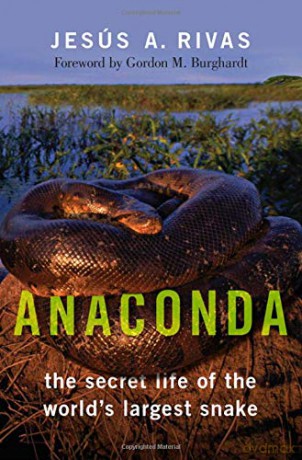 Anaconda: The Secret Life of the World's Largest Snake - Jesús A. Rivas [KSIĄŻKA]