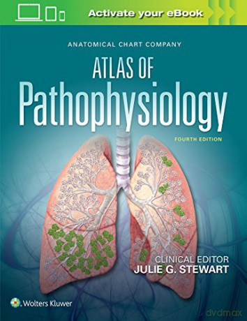 Anatomical Chart Company Atlas of Pathophysiology - Julie Stewart [KSIĄŻKA]