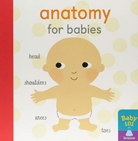 Anatomy for Babies (Baby 101) - Jonathan Litton [KSIĄŻKA]