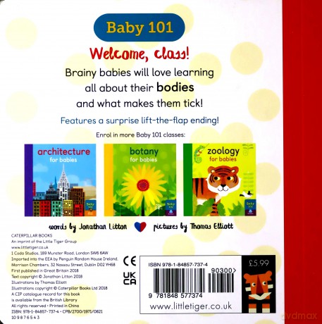 Anatomy for Babies (Baby 101) - Jonathan Litton [KSIĄŻKA]
