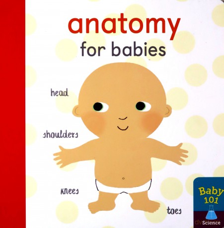 Anatomy for Babies (Baby 101) - Jonathan Litton [KSIĄŻKA]