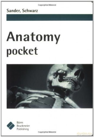 Anatomy Pocket - Antje Sander [KSIĄŻKA]