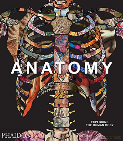 Anatomy: Exploring the Human Body (Explorer) - Phaidon Editors [KSIĄŻKA]