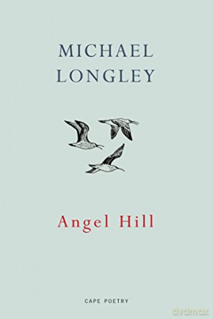 Angel Hill - Michael Longley [KSIĄŻKA]