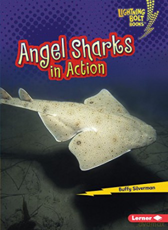 Angel Sharks in Action (Shark World Lightning Bolt) - Buffy Silverman [KSIĄŻKA]